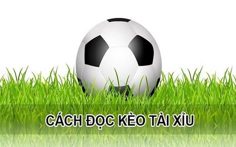 Cách đọc kèo tài xỉu chuẩn xác 